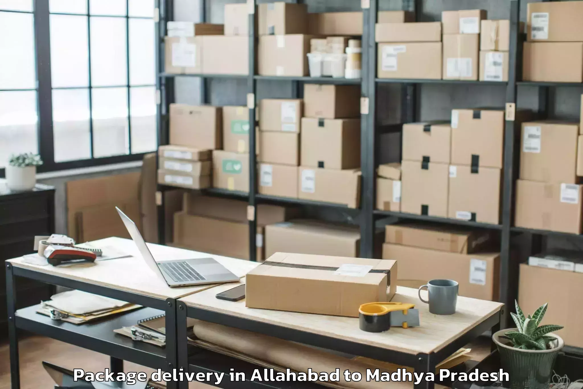 Easy Allahabad to Nalkheda Package Delivery Booking